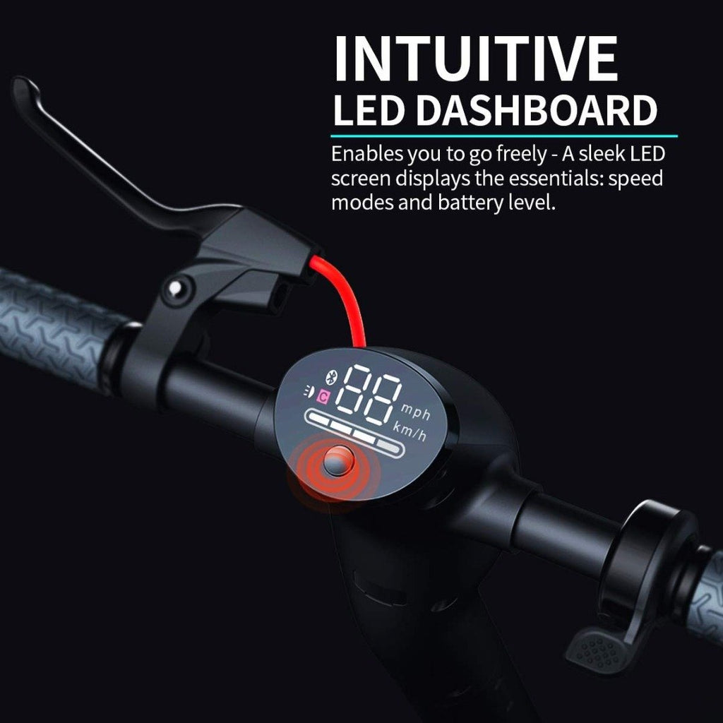 350w Electric Folding Scooter