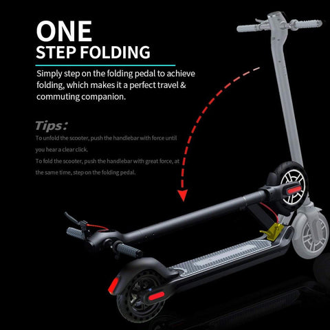 350w Electric Folding Scooter